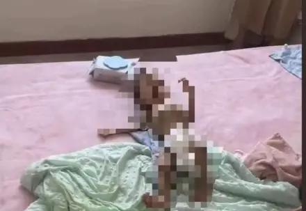 自从月嫂史大姐开始照顾孩子，原本每夜都要惊醒数次的婴儿，再未在夜间惊醒过