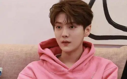 顶流鹿晗也会有落败的一天，从顶流到音乐节糊咖？
