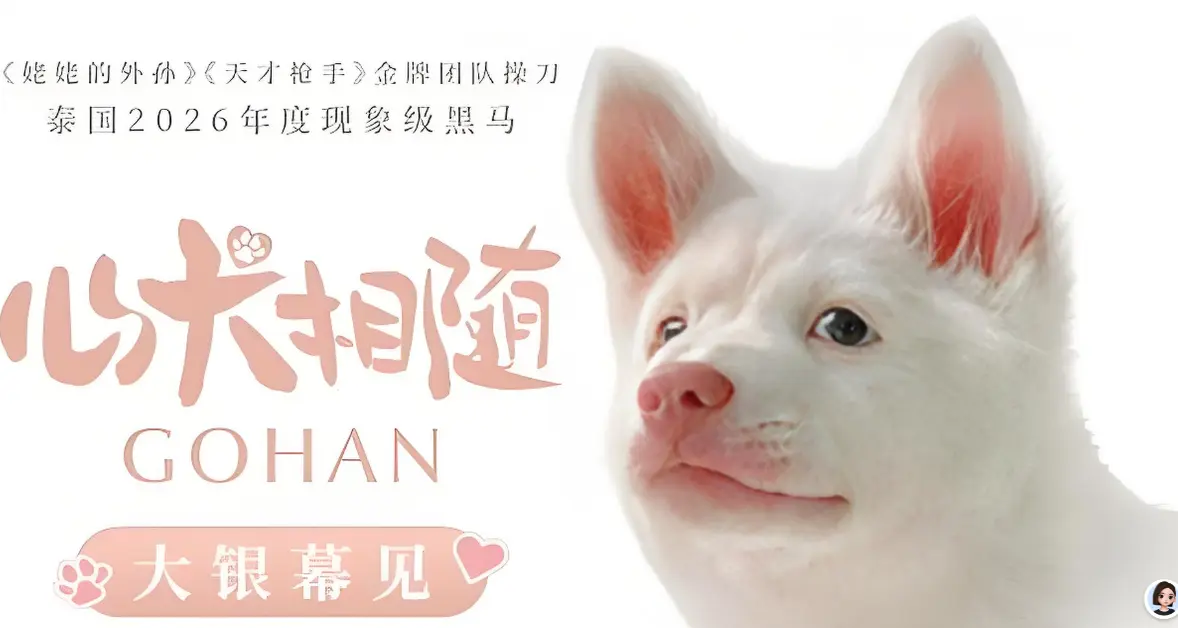 泰国年度票房冠军《心犬相随》引进内地，一只粉红鼻子小狗看哭全泰国