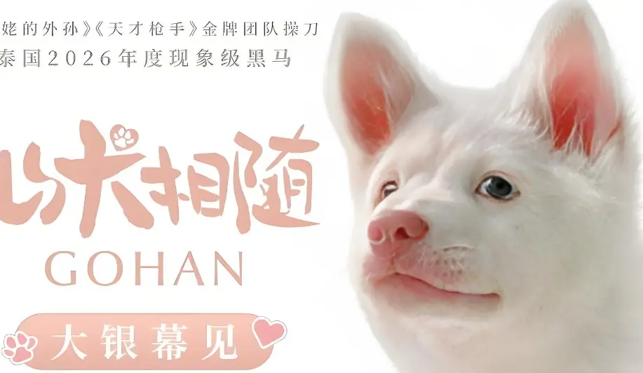泰国黑马《心犬相随》定档6月26日，拍出《天才枪手》的团队这次改拍狗了