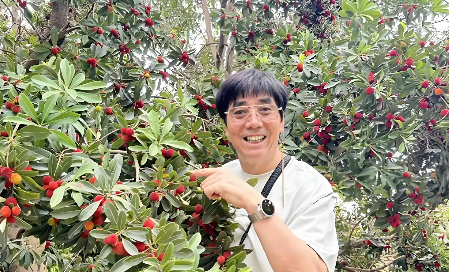 500平自家菜园，范明夫妇把日子过成田园诗